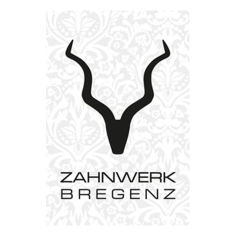 Zahnwerk Bregenz